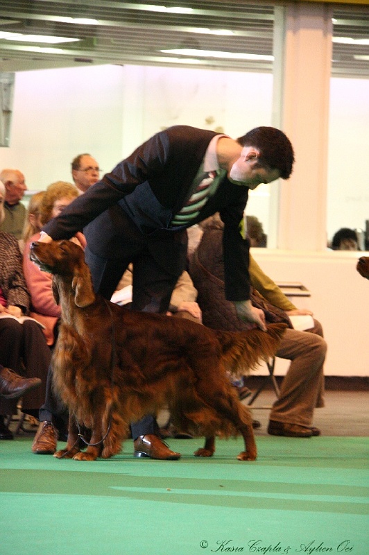 Crufts2011_2 144.jpg